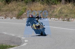 MICH1153