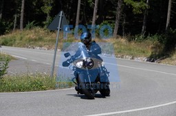 MICH1175