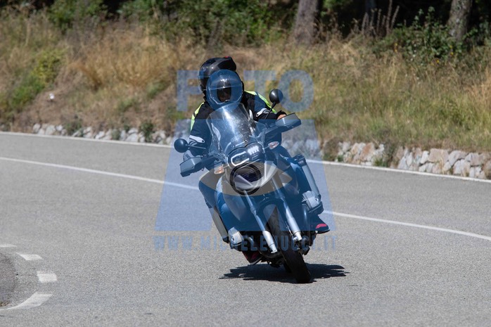 MICH1175