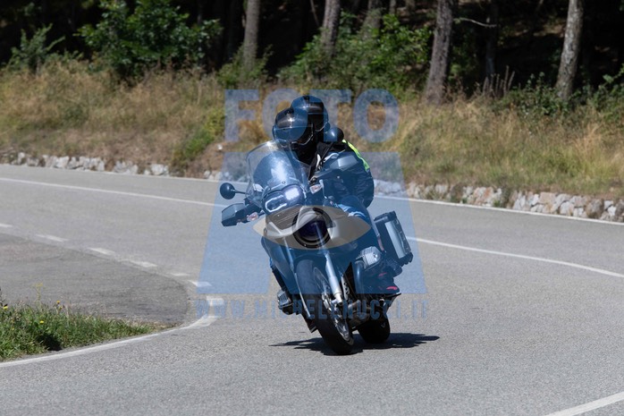MICH1176
