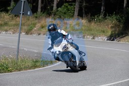 MICH1181