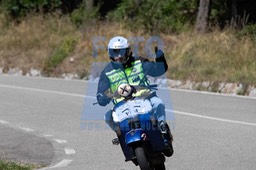 MICH1181