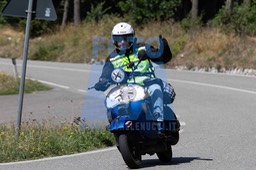 MICH1182
