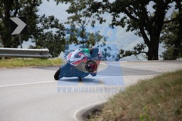 MICH1195