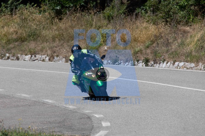 MICH1196