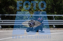 MICH1198