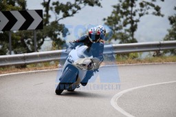 MICH1206