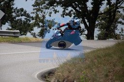 MICH1209