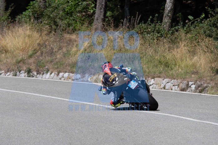 MICH1209