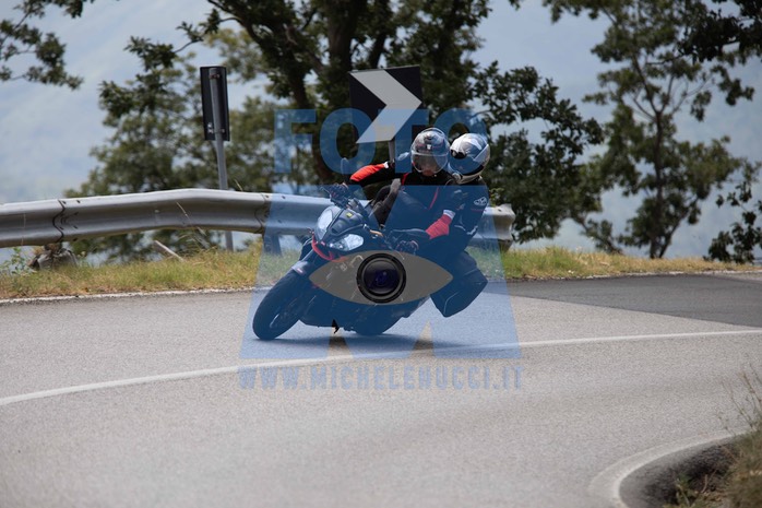 MICH1210