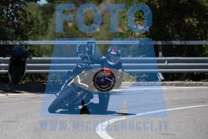 MICH1210