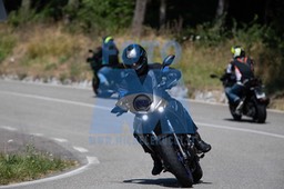 MICH1217