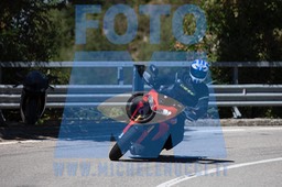 MICH1218