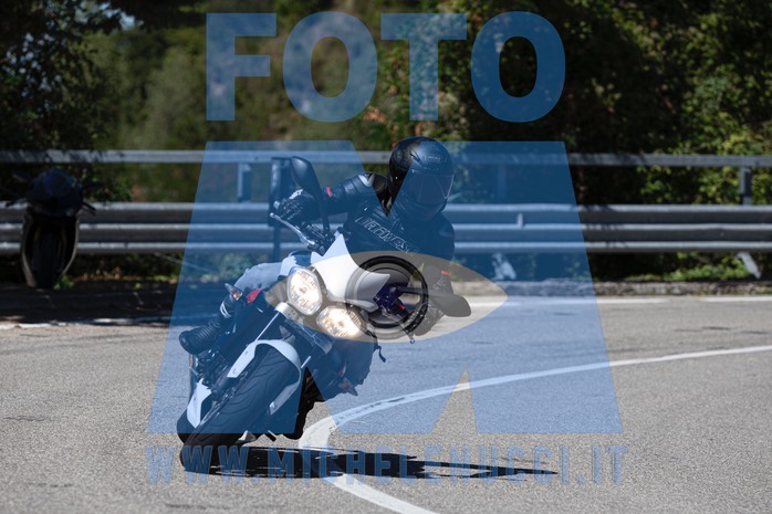 MICH1230