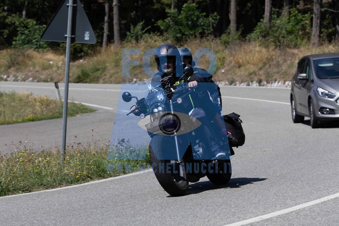 MICH1231