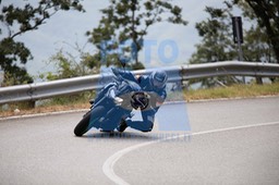 MICH1239