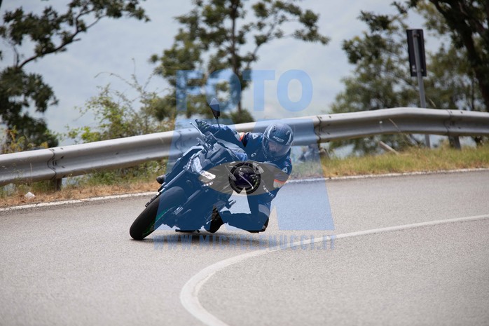 MICH1239