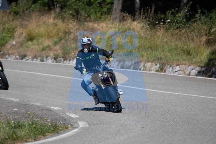 MICH1244