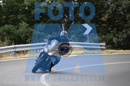 MICH1247