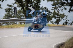 MICH1248