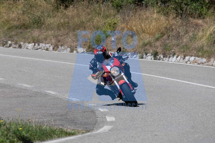 MICH1248