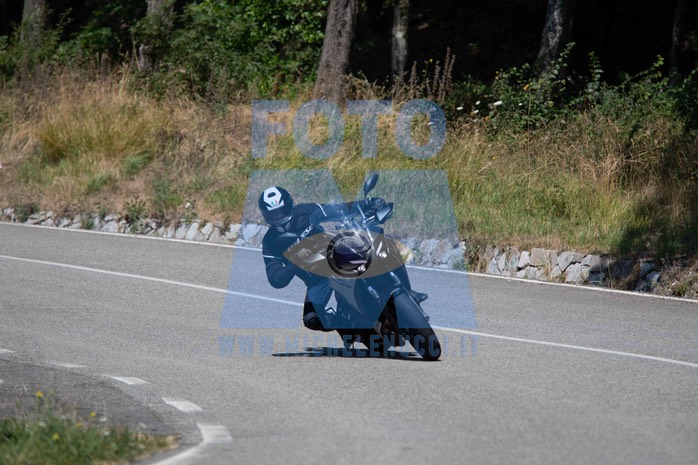 MICH1250