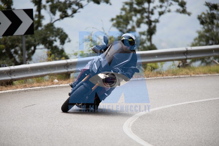 MICH1250