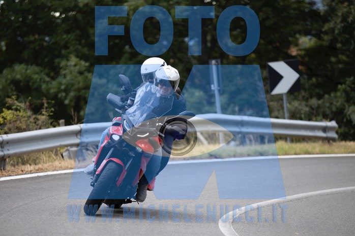 MICH1253