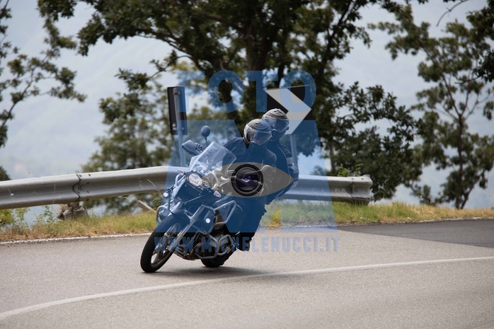 MICH1265
