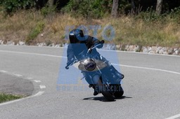 MICH1265