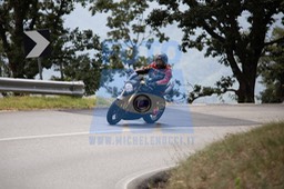 MICH1269