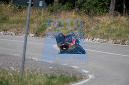 MICH1275