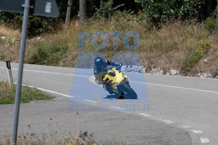 MICH1277