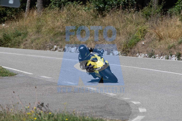 MICH1278