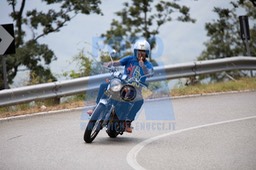 MICH1291