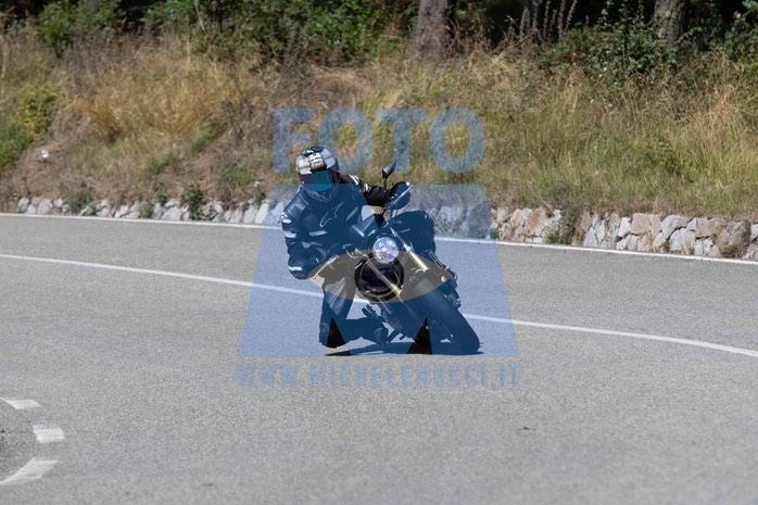 MICH1291