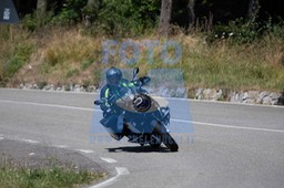 MICH1293