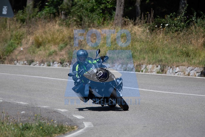 MICH1293