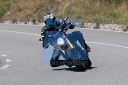MICH1294