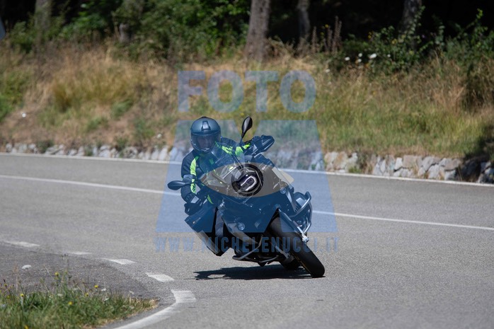MICH1294