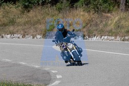 MICH1295
