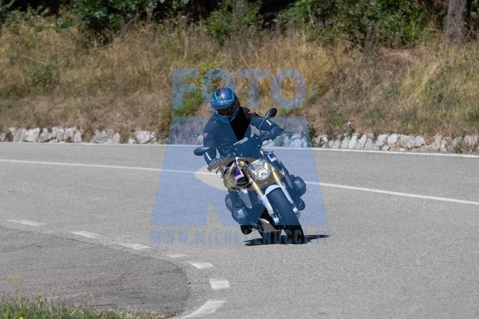 MICH1295