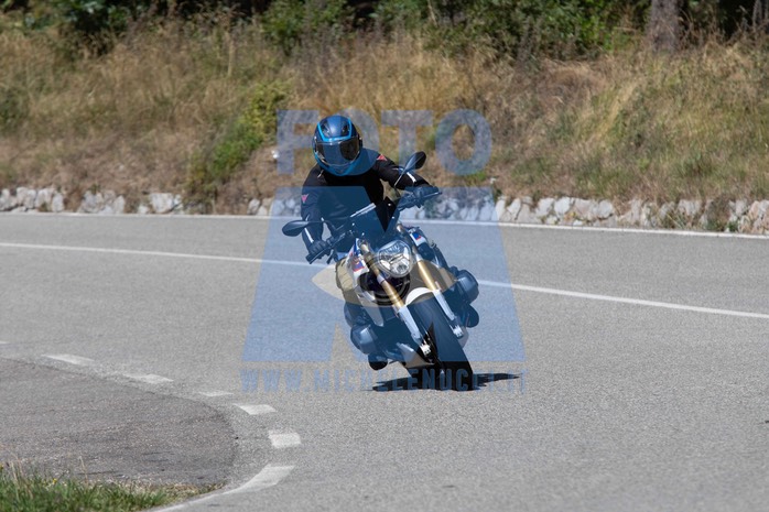MICH1296