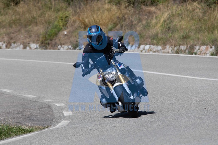 MICH1297
