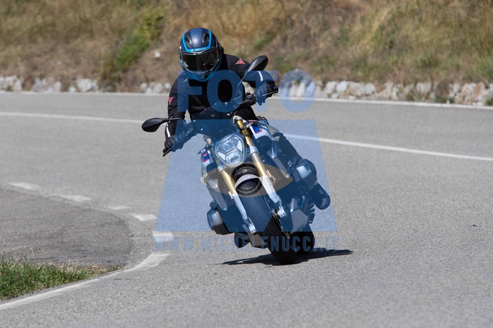 MICH1298