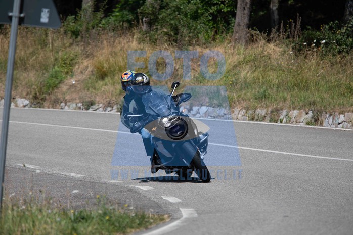 MICH1299