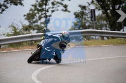 MICH1299