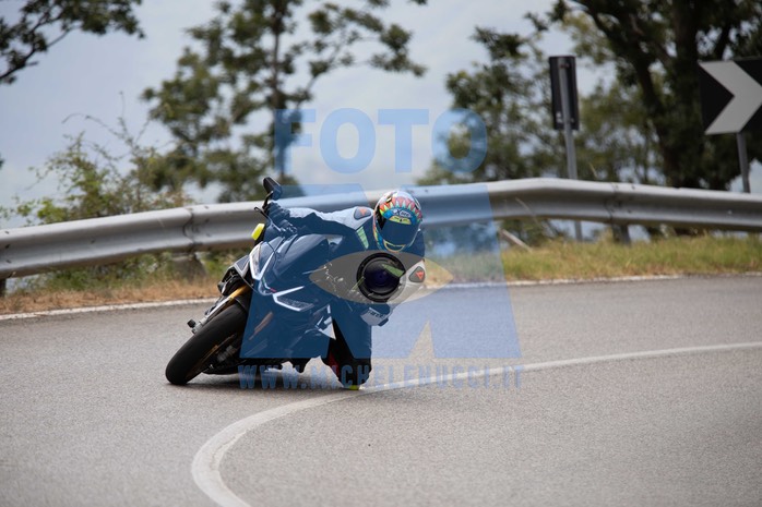MICH1299