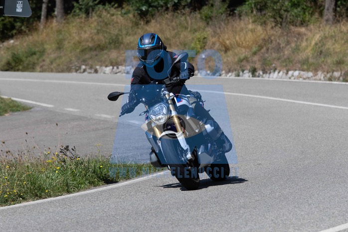MICH1299