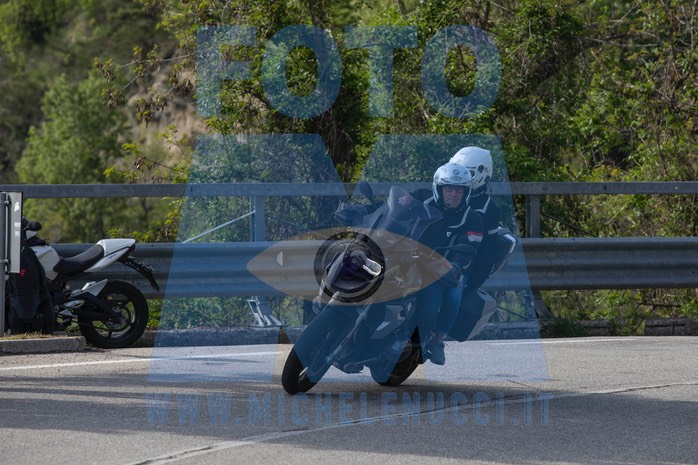 MICH1299
